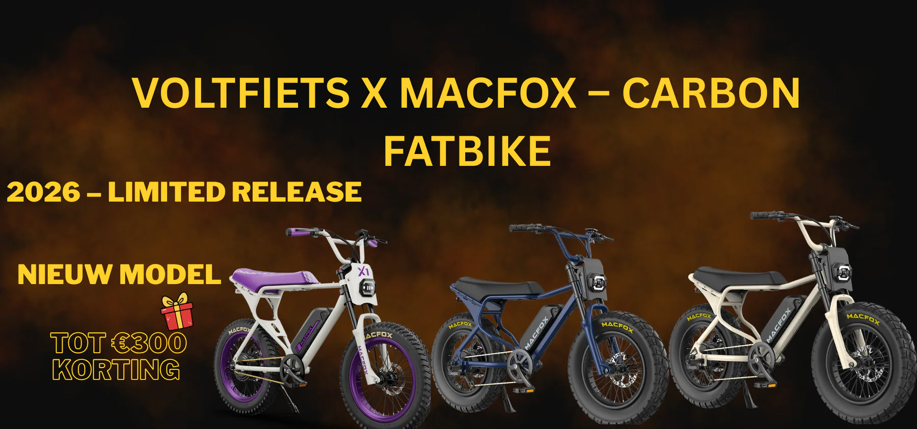 Jouw Ouxi Fatbike Specialist Haarlem